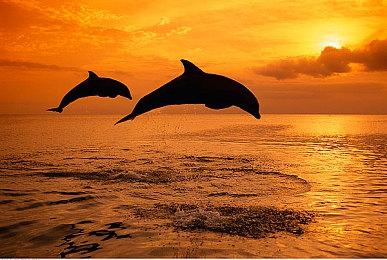 《战神5：诸神黄昏》3分钟故事预告片发布